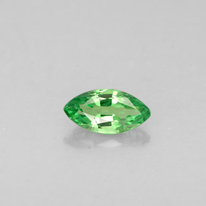 Grenat tsavorite vert naturelle marquise, 0,29 ct, VVS-VS