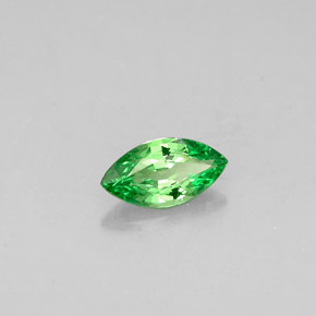 Grenat tsavorite vert naturelle marquise, 0,26 ct, VVS-VS