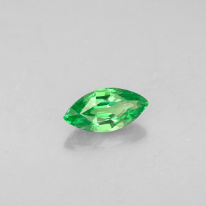 Grenat Tsavorite Vert chrome naturelle Marquise, 0.31 ct, VVS-VS
