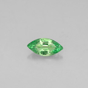 Grenat tsavorite vert naturelle marquise, 0,25 ct, VVS-VS