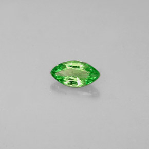 Grenat tsavorite vert chrome naturelle marquise, 0,27 ct, VVS-VS