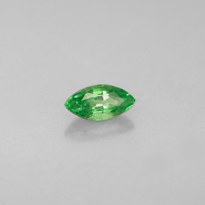 Grenat tsavorite vert naturelle marquise, 0,33 ct, VVS-VS