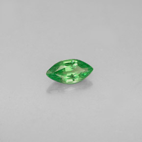 Grenat Tsavorite Vert chrome naturelle Marquise, 0.28 ct, VVS-VS