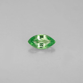 Grenat Tsavorite Vert chrome naturelle Marquise, 0.28 ct, VVS-VS