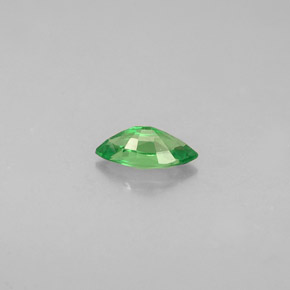 Grenat tsavorite vert naturelle marquise, 0,29 ct, VVS-VS