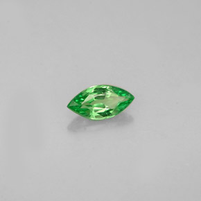 Grenat tsavorite vert naturelle marquise, 0,26 ct, VVS-VS