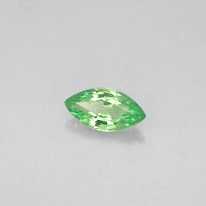 Grenat tsavorite vert naturelle marquise, 0,28 ct, VVS-VS