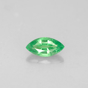 Grenat tsavorite vert naturelle marquise, 0,31 ct, VVS-VS