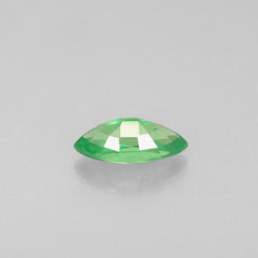 Grenat tsavorite vert naturelle marquise, 0,31 ct, VVS-VS