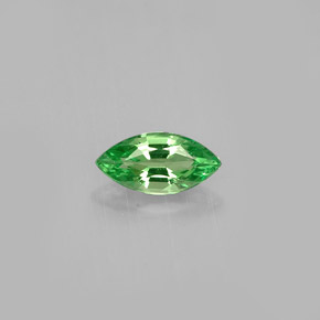 Grenat Tsavorite Vert naturelle Marquise, 0.39 ct, VVS-VS
