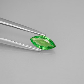 Grenat tsavorite vert naturelle marquise, 0,42 ct, VS