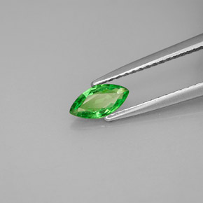 Grenat tsavorite vert naturelle marquise, 0,42 ct, VS