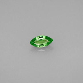 Grenat Tsavorite Vert éclatant naturelle Marquise, 0.30 ct, VS