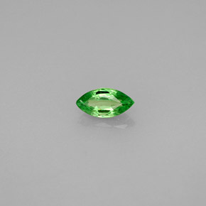 Grenat Tsavorite Vert éclatant naturelle Marquise, 0.30 ct, VS