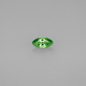 Grenat Tsavorite Vert éclatant naturelle Marquise, 0.25 ct, VS
