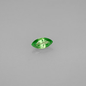 Grenat Tsavorite Vert éclatant naturelle Marquise, 0.25 ct, VS