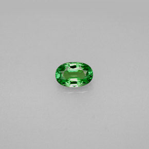 Grenat Tsavorite Vert éclatant naturelle Coupe ovale, 0.61 ct, VVS-VS