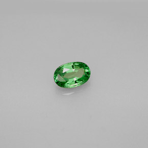 Grenat Tsavorite Vert éclatant naturelle Coupe ovale, 0.61 ct, VVS-VS