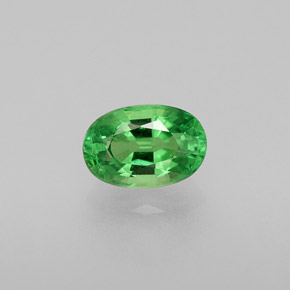 Grenat tsavorite vert naturelle coupe ovale, 0,59 ct, VS