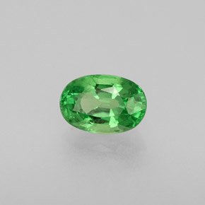 Grenat tsavorite vert naturelle coupe ovale, 0,59 ct, VS