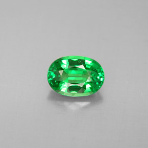 Grenat tsavorite vert naturelle coupe ovale, 1,03 ct, VVS-VS
