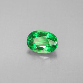 Grenat tsavorite vert naturelle coupe ovale, 1,03 ct, VVS-VS