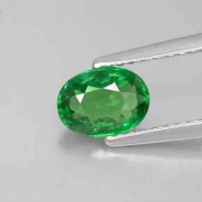 Grenat tsavorite vert naturelle coupe ovale, 1,05 ct, VVS