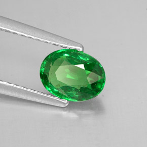 Grenat tsavorite vert naturelle coupe ovale, 1,05 ct, VVS