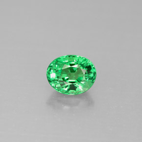 Grenat Tsavorite Vert éclatant naturelle Coupe ovale, 0.98 ct, VS