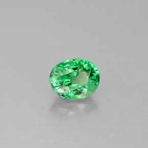 Grenat Tsavorite Vert éclatant naturelle Coupe ovale, 0.98 ct, VS