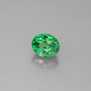 Grenat tsavorite vert naturelle coupe ovale, 1,10 ct, VS