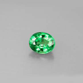 Grenat tsavorite vert naturelle coupe ovale, 1,06 ct, VS