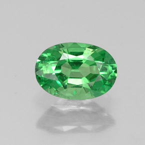 Grenat Tsavorite Vert naturelle Coupe ovale, 0.64 ct, SI