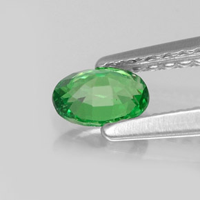 Grenat tsavorite vert naturelle coupe ovale, 0,35 ct, VS