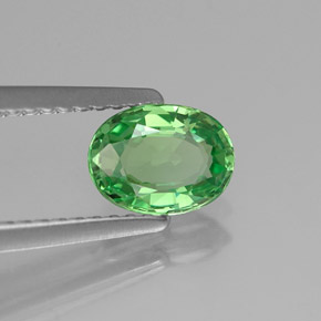 Grenat tsavorite vert naturelle coupe ovale, 0,89 ct, VS