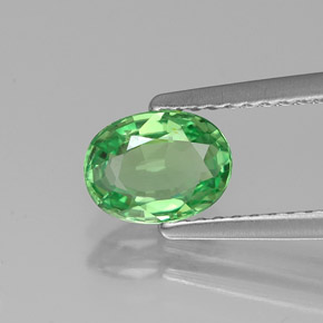 Grenat tsavorite vert naturelle coupe ovale, 0,89 ct, VS