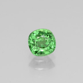 Grenat tsavorite vert naturelle coupe coussin, 0,48 ct, VS