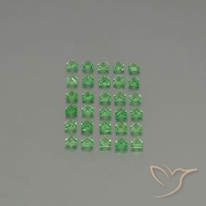 Shop natural 2.79ct Vert Électrique Grenat Tsavorite gems, Carré, from Tanzanie at GemSelect. In stock, global shipping!
