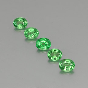 Achetez naturel ct vert grenat tsavorite gems, coupe ovale, en provenance tanzanie chez gemselect. en stock, livraison internationale!