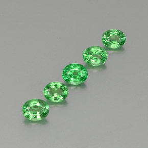 Achetez naturel ct vert grenat tsavorite gems, coupe ovale, en provenance tanzanie chez gemselect. en stock, livraison internationale!