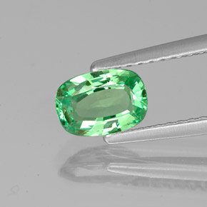 Grenat tsavorite vert naturelle coupe coussin, 0,84 ct, VVS-VS