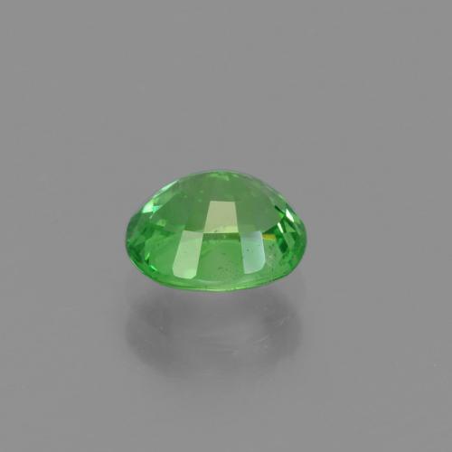 Grenat tsavorite vert naturelle coupe ovale, 1,16 ct, VS-SI