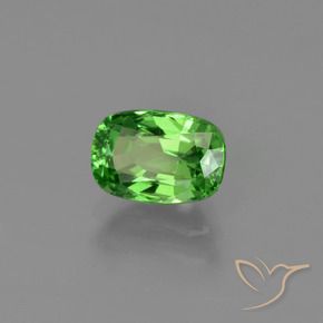 Grenat Tsavorite Vert forêt clair naturelle Coupe coussin, 1.02 ct, VS