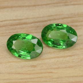 Achetez naturel 0,85ct vert grenat tsavorite gems, coupe ovale, en provenance tanzanie chez gemselect. en stock, livraison internationale!