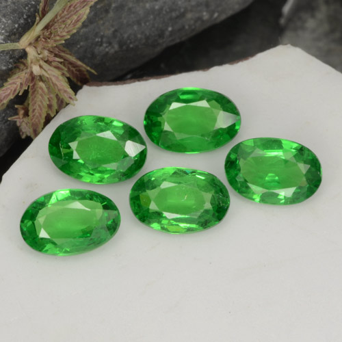 Achetez naturel 2,01ct vert grenat tsavorite gems, coupe ovale, en provenance tanzanie chez gemselect. en stock, livraison internationale!