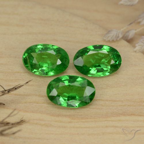 Achetez naturel 1,30ct vert grenat tsavorite gems, coupe ovale, en provenance tanzanie chez gemselect. en stock, livraison internationale!