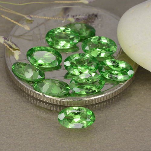 Achetez naturel 2,27ct vert grenat tsavorite gems, coupe ovale, en provenance tanzanie chez gemselect. en stock, livraison internationale!