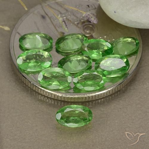 Shop natural 2.27ct Vert forêt clair Grenat Tsavorite gems, ovale, from Tanzanie at GemSelect. In stock, global shipping!