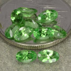 Achetez naturel 2.98ct Vert éclatant Grenat Tsavorite gems, Coupe ovale, En provenance Tanzanie chez GemSelect. En stock, livraison internationale!