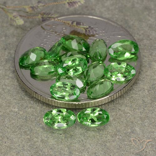 3.22ctw Naturel Vert éclatant Grenat Tsavorite, ovale, VS